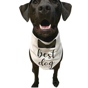 GANZ Dog Collar Bandana Wedding Best Dog Bow Tie L/XL NWT